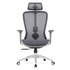 Z-E2406HG Ergonomic Office Chair