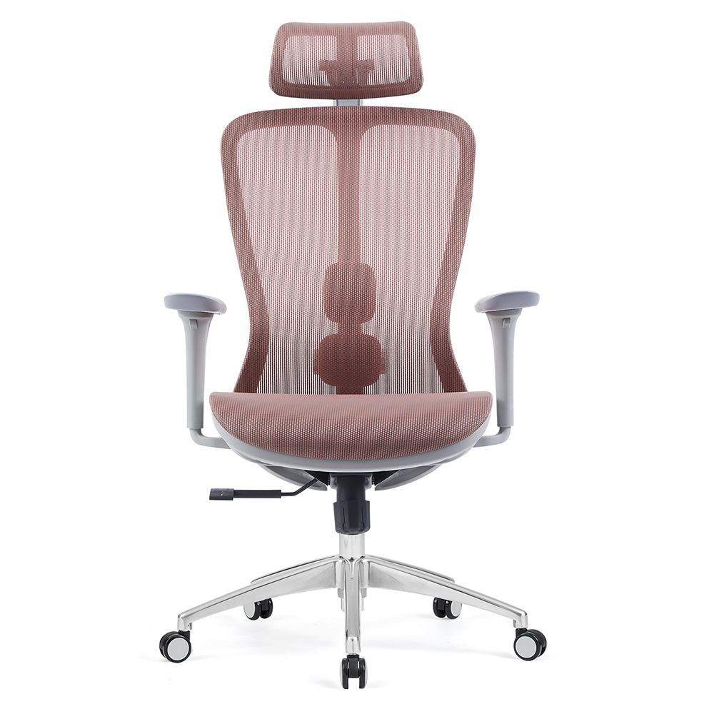 Z-E2406HG Ergonomic Office Chair
