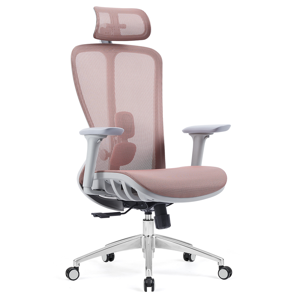 Z-E2406HG Ergonomic Office Chair