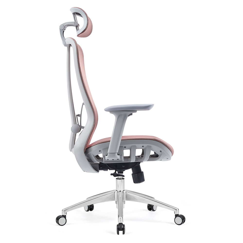 Z-E2406HG Ergonomic Office Chair