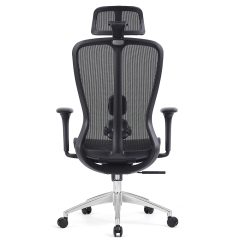 Z-E2406HG Ergonomic Office Chair