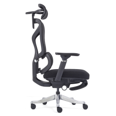 2408-High Sea Band with Foot Pedal