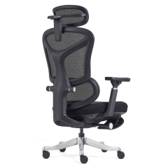 2408-High Sea Band with Foot Pedal