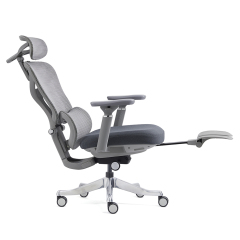 2408-High Sea Band with Foot Pedal