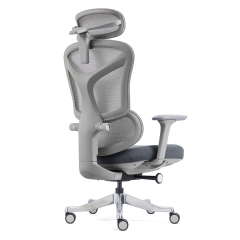 Conference Room Chairs – Ergonomic Chair Manufacturer Design