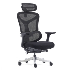 Conference Room Chairs – Ergonomic Chair Manufacturer Design