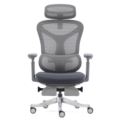 2408-High Sea Band with Foot Pedal