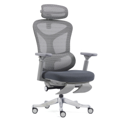 2408-High Sea Band with Foot Pedal