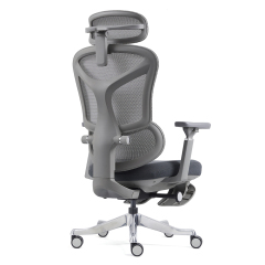 2408-High Sea Band with Foot Pedal