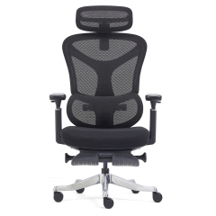 2408-High Sea Band with Foot Pedal