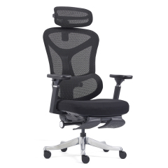 2408-High Sea Band with Foot Pedal