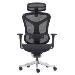 Z-2408 Wang Gao Ergonomic Office Chair