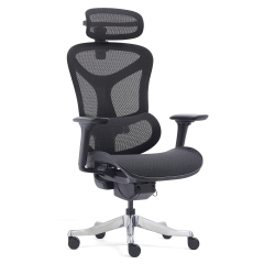 Z-2408 Wang Gao Ergonomic Office Chair