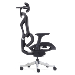 Z-2408 Wang Gao Ergonomic Office Chair