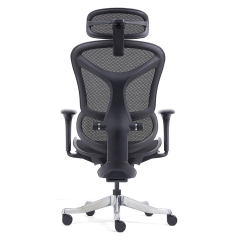 Z-2408 Wang Gao Ergonomic Office Chair