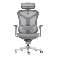 Z-2408 Wang Gao Ergonomic Office Chair