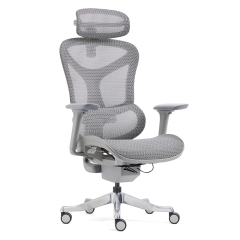 Z-2408 Wang Gao Ergonomic Office Chair