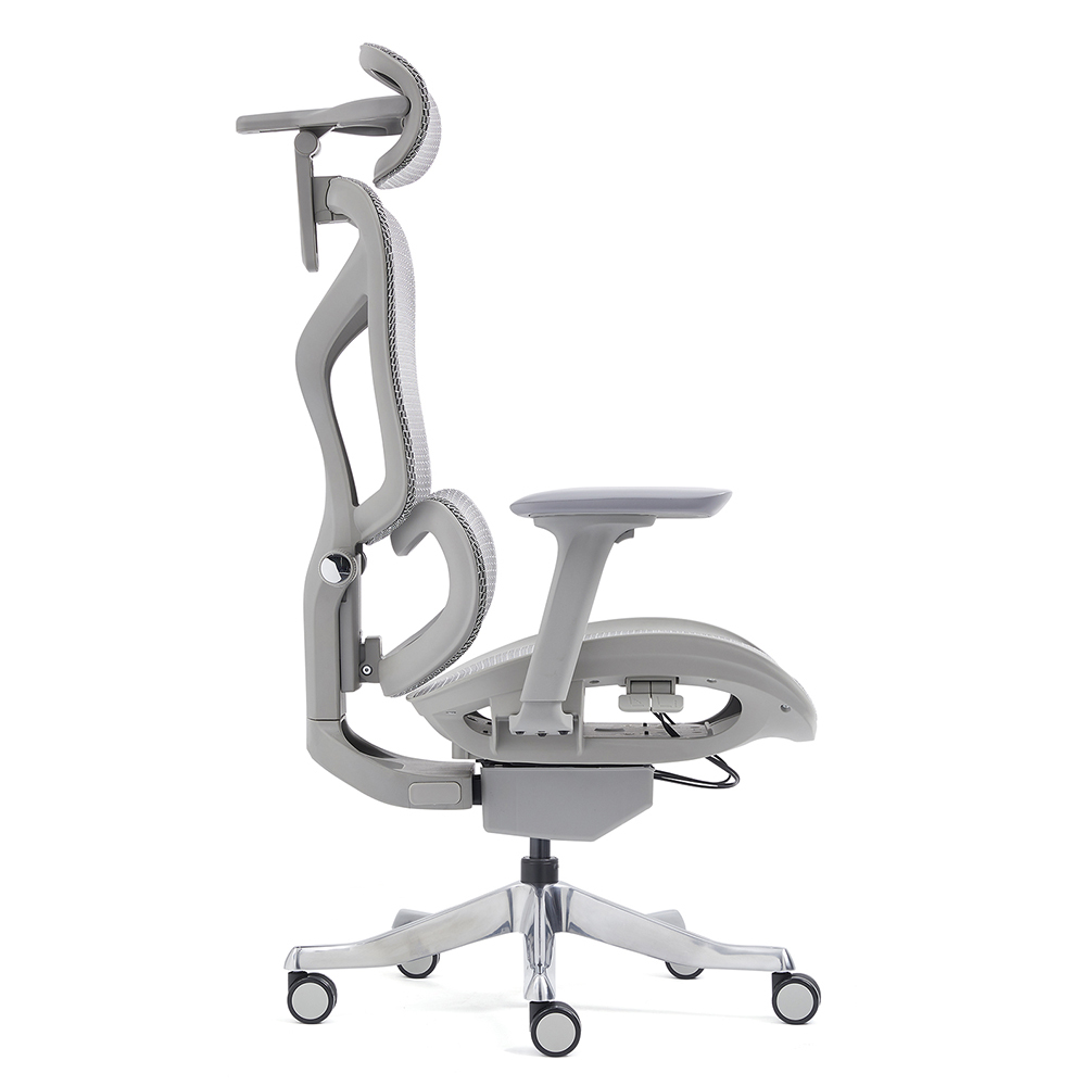 Z-2408 Wang Gao Ergonomic Office Chair