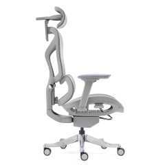Z-2408 Wang Gao Ergonomic Office Chair