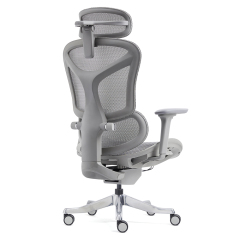 Z-2408 Wang Gao Ergonomic Office Chair