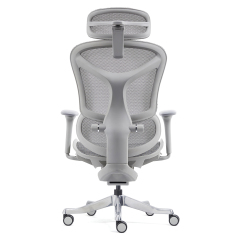 Z-2408 Wang Gao Ergonomic Office Chair