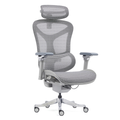 Z-2408 Wang Gao Ergonomic Office Chair