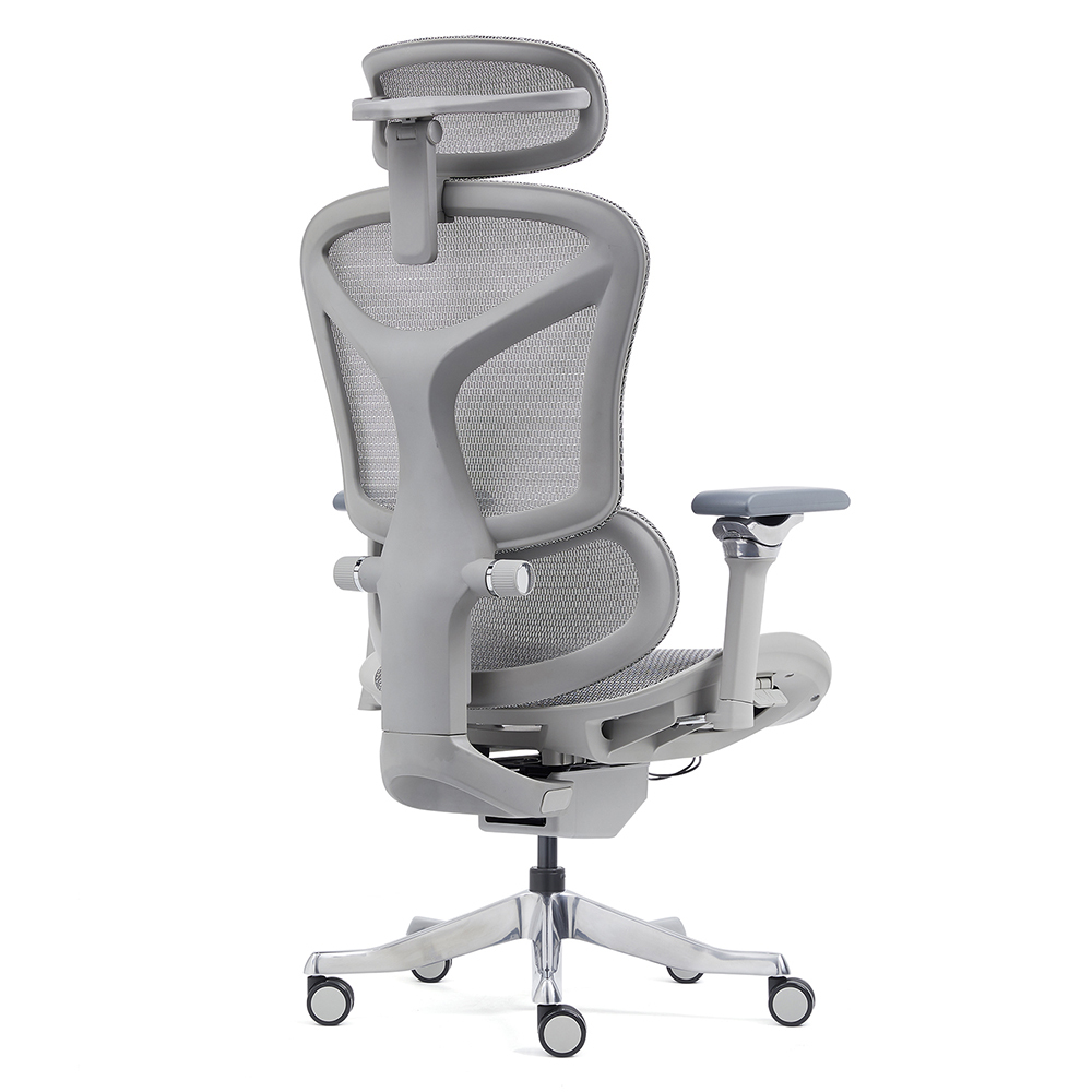 Z-2408 Wang Gao Ergonomic Office Chair