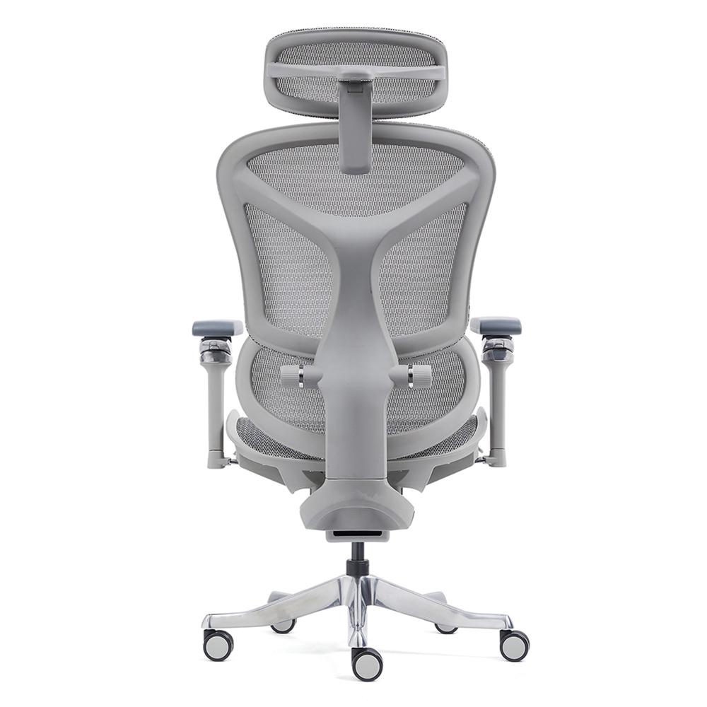 Z-2408 Wang Gao Ergonomic Office Chair
