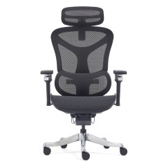 Z-2408 Wang Gao Ergonomic Office Chair