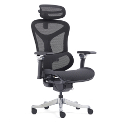 Z-2408 Wang Gao Ergonomic Office Chair