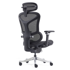 Z-2408 Wang Gao Ergonomic Office Chair