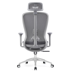 Z-E2406HG Ergonomic Office Chair