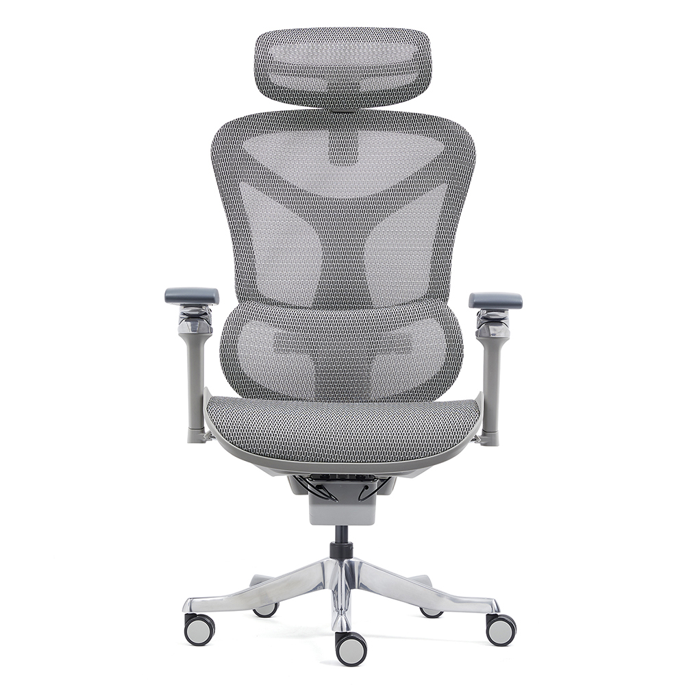 Z-E2408HG Ergonomic Office Chair