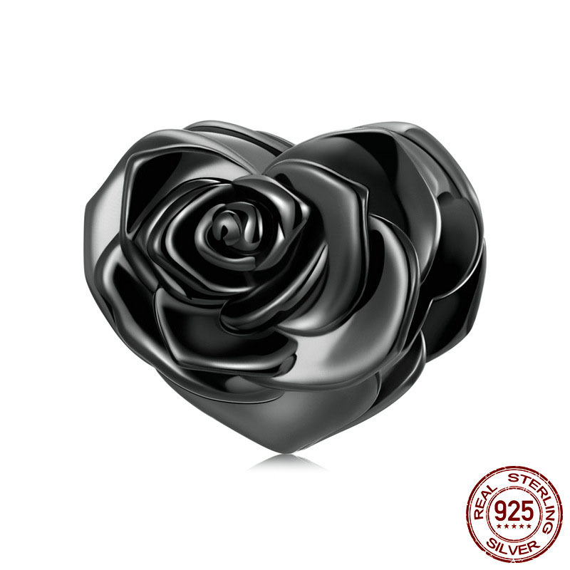 BSC579