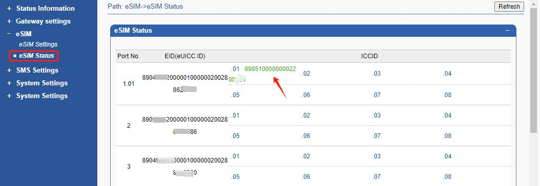 voip gateway panel eSIM Status