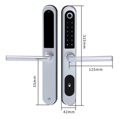 FL-3 WIFI Smart Fingerprint Lock with App