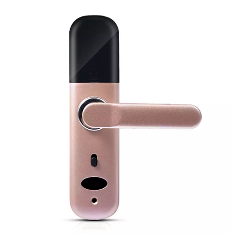 FL-5 WIFI Smart Fingerprint Lock with Tuya App