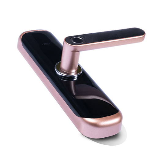 FL-5 WIFI Smart Fingerprint Lock with Tuya App