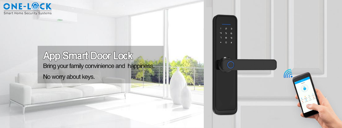 Smart door lock 