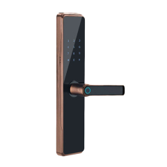 FL-H10 Household SmartPhone Door Lock