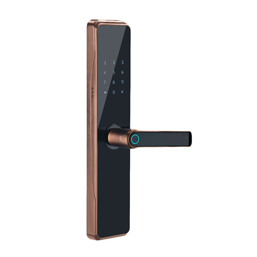 FL-H10 Household SmartPhone Door Lock