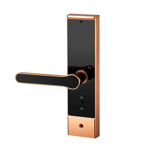 FL-X10 WIFI Smart Fingerprint Lock with App