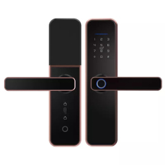 FL-X5 Smart Fingerprint Lock with TTLOCK App