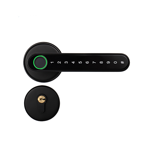 FL-S1 Blutooth Smart Fingerprint Lock with App