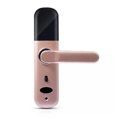 FL-5 WIFI Smart Fingerprint Lock with Tuya App