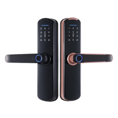 FL-X8 WIFI Smart Fingerprint Lock with App