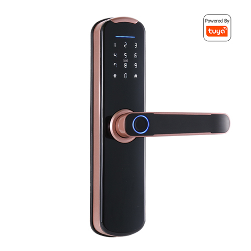FL-X8 WIFI Smart Fingerprint Lock with App