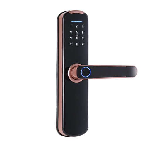 FL-X8 WIFI Smart Fingerprint Lock with App