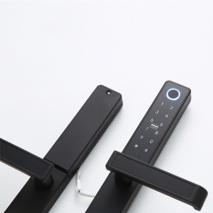 Broken Bridge Aluminum Narrow Door Smart Fingerprint Lock