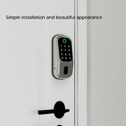 FL-7 Tuya keyless digital door lock for bedroom